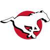 Calgary Stampeders